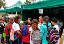 Requisitos para la incorporación de proyectos y propuestas al PIVJ Requisitos para la incorporación de proyectos y propuestas al PIVJ